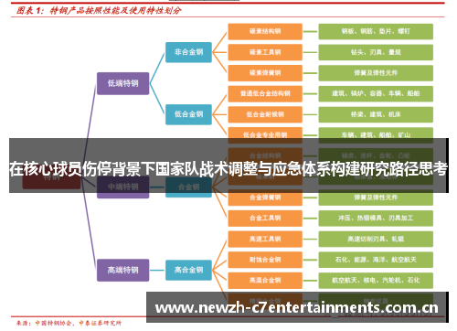 在核心球员伤停背景下国家队战术调整与应急体系构建研究路径思考