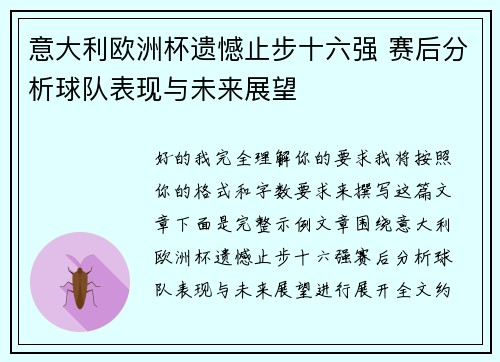 意大利欧洲杯遗憾止步十六强 赛后分析球队表现与未来展望